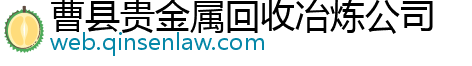 曹县贵金属回收冶炼公司